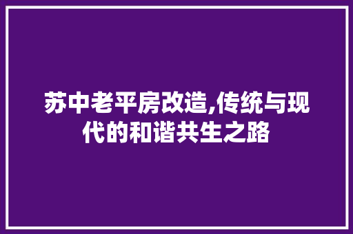 苏中老平房改造,传统与现代的和谐共生之路