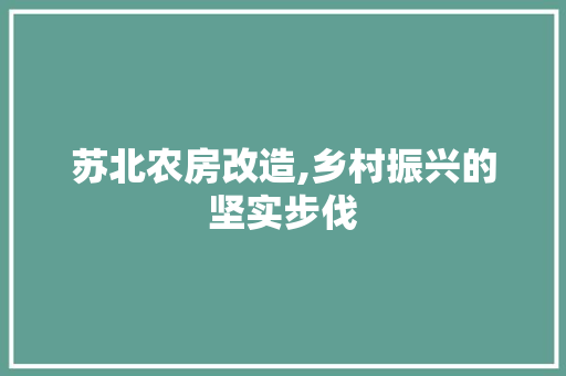 苏北农房改造,乡村振兴的坚实步伐