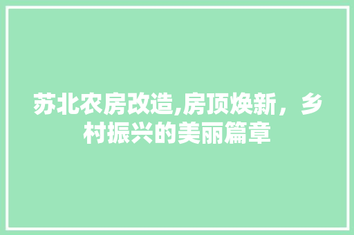 苏北农房改造,房顶焕新，乡村振兴的美丽篇章