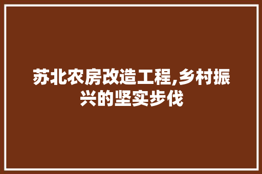 苏北农房改造工程,乡村振兴的坚实步伐