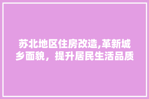 苏北地区住房改造,革新城乡面貌，提升居民生活品质