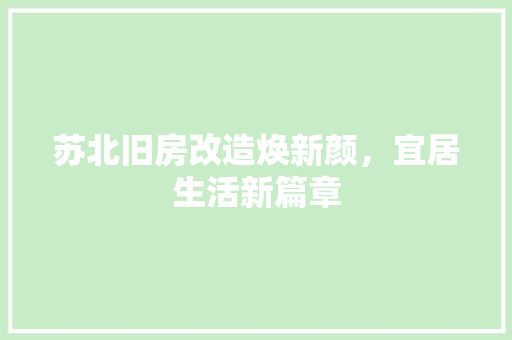 苏北旧房改造焕新颜，宜居生活新篇章