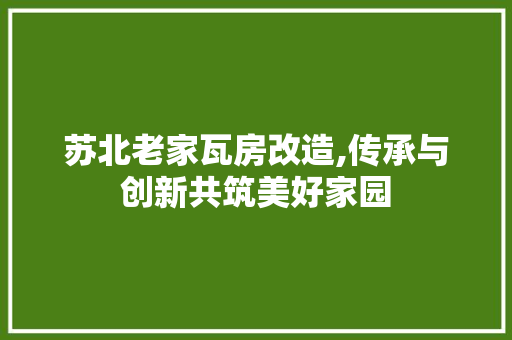 苏北老家瓦房改造,传承与创新共筑美好家园
