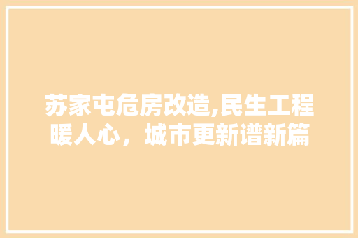 苏家屯危房改造,民生工程暖人心，城市更新谱新篇