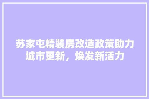 苏家屯精装房改造政策助力城市更新，焕发新活力