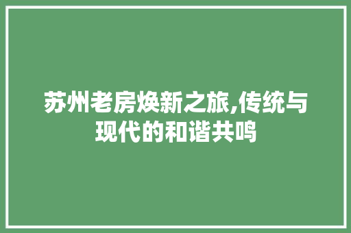 苏州老房焕新之旅,传统与现代的和谐共鸣