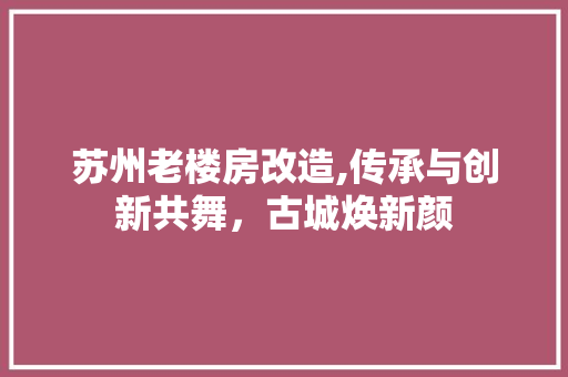 苏州老楼房改造,传承与创新共舞，古城焕新颜