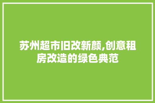 苏州超市旧改新颜,创意租房改造的绿色典范