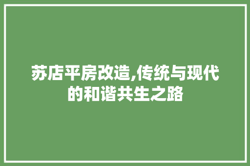 苏店平房改造,传统与现代的和谐共生之路