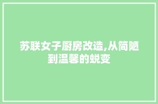 苏联女子厨房改造,从简陋到温馨的蜕变