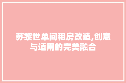 苏黎世单间租房改造,创意与适用的完美融合