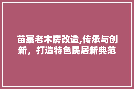 苗寨老木房改造,传承与创新，打造特色民居新典范