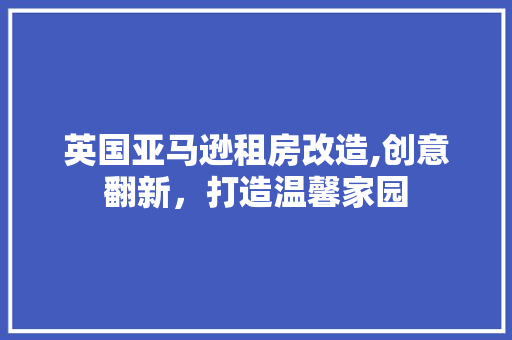 英国亚马逊租房改造,创意翻新，打造温馨家园