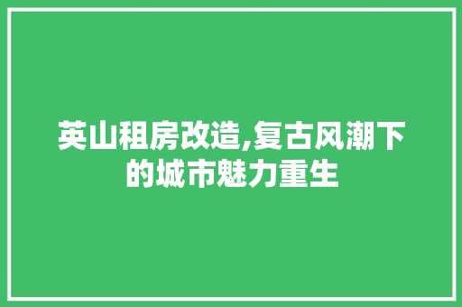 英山租房改造,复古风潮下的城市魅力重生