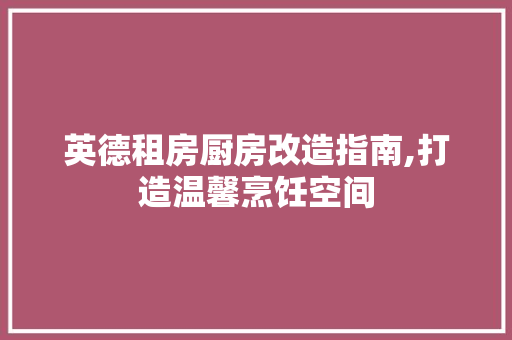 英德租房厨房改造指南,打造温馨烹饪空间