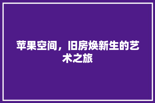 苹果空间，旧房焕新生的艺术之旅