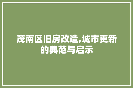 茂南区旧房改造,城市更新的典范与启示