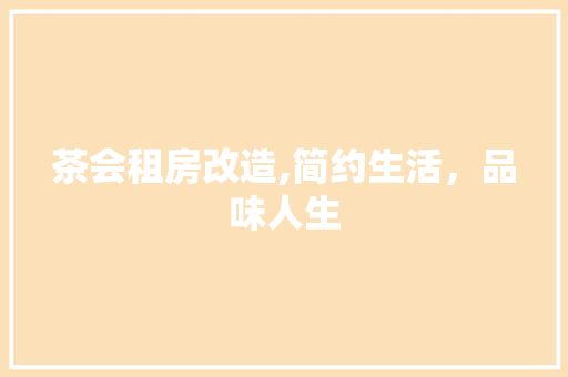 茶会租房改造,简约生活，品味人生 厨房维修