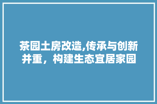 茶园土房改造,传承与创新并重，构建生态宜居家园