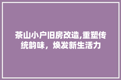 茶山小户旧房改造,重塑传统韵味，焕发新生活力