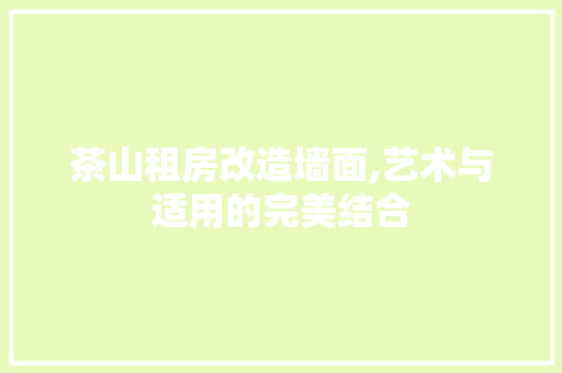 茶山租房改造墙面,艺术与适用的完美结合 家电维修