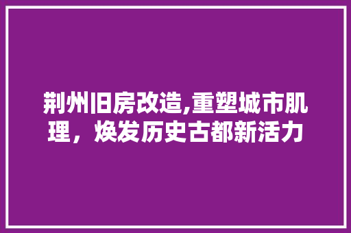 荆州旧房改造,重塑城市肌理，焕发历史古都新活力