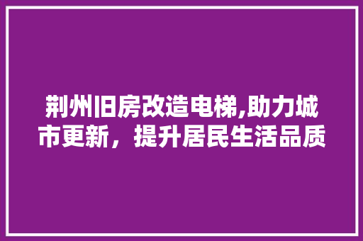 荆州旧房改造电梯,助力城市更新，提升居民生活品质