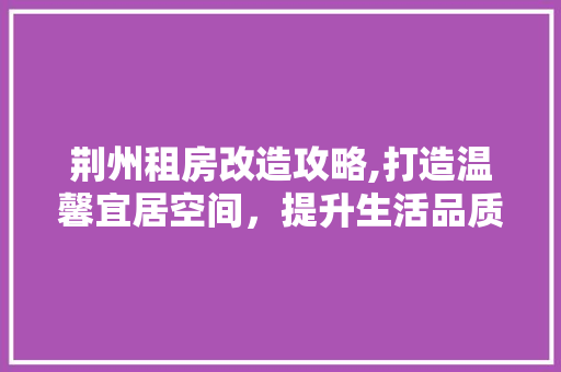 荆州租房改造攻略,打造温馨宜居空间，提升生活品质