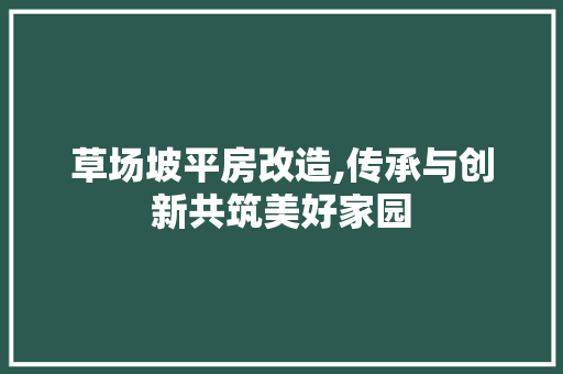 草场坡平房改造,传承与创新共筑美好家园