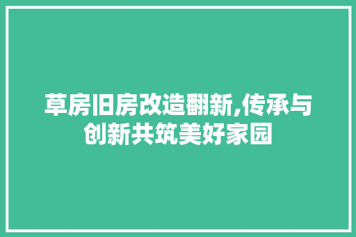 草房旧房改造翻新,传承与创新共筑美好家园