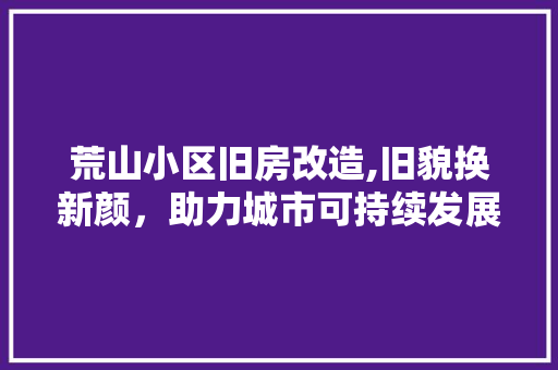 荒山小区旧房改造,旧貌换新颜，助力城市可持续发展
