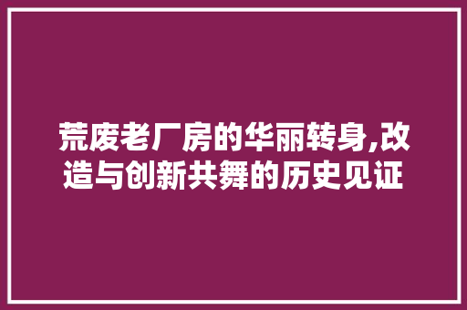荒废老厂房的华丽转身,改造与创新共舞的历史见证