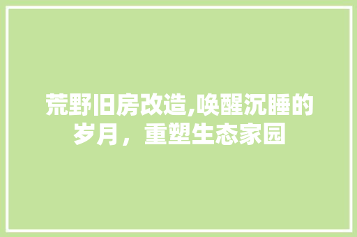 荒野旧房改造,唤醒沉睡的岁月，重塑生态家园