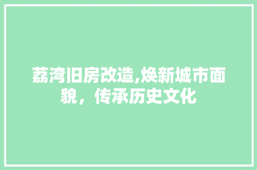 荔湾旧房改造,焕新城市面貌，传承历史文化