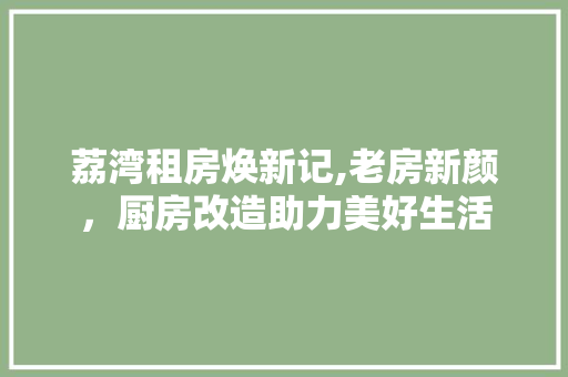 荔湾租房焕新记,老房新颜，厨房改造助力美好生活