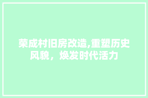 荣成村旧房改造,重塑历史风貌，焕发时代活力