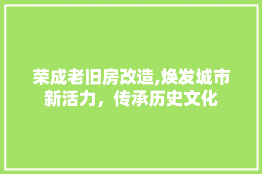 荣成老旧房改造,焕发城市新活力，传承历史文化