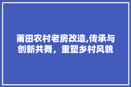 莆田农村老房改造,传承与创新共舞，重塑乡村风貌