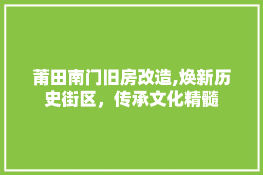 莆田南门旧房改造,焕新历史街区，传承文化精髓