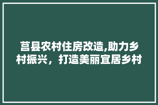 莒县农村住房改造,助力乡村振兴，打造美丽宜居乡村新画卷