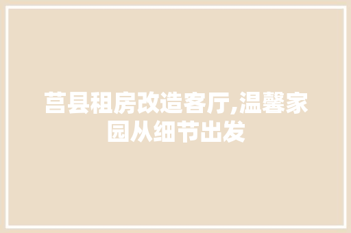 莒县租房改造客厅,温馨家园从细节出发