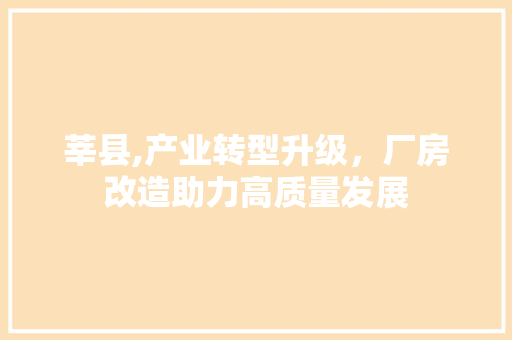 莘县,产业转型升级，厂房改造助力高质量发展