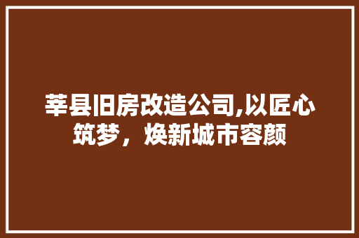 莘县旧房改造公司,以匠心筑梦，焕新城市容颜