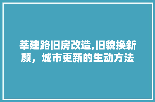 莘建路旧房改造,旧貌换新颜，城市更新的生动方法