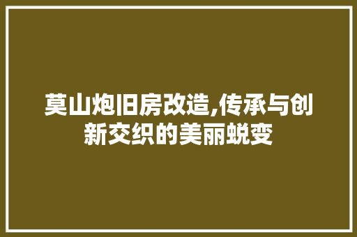 莫山炮旧房改造,传承与创新交织的美丽蜕变