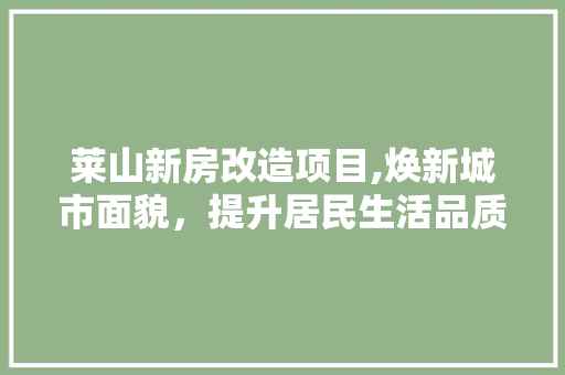 莱山新房改造项目,焕新城市面貌，提升居民生活品质