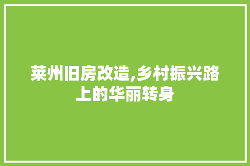 莱州旧房改造,乡村振兴路上的华丽转身