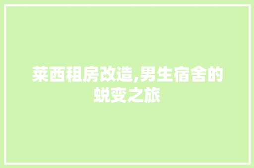 莱西租房改造,男生宿舍的蜕变之旅