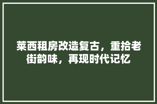 莱西租房改造复古，重拾老街韵味，再现时代记忆