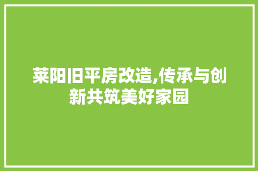 莱阳旧平房改造,传承与创新共筑美好家园